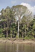 Canoe journey down the rivers of the Madre de Dios department in the Manu reserve